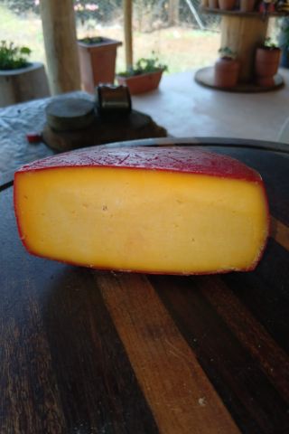 Queijo Gouda