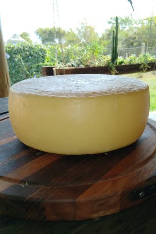 Queijo Parmesão
